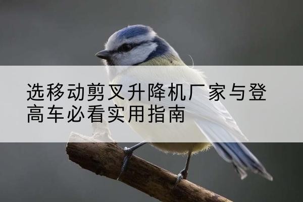 乌审旗电动升降机厂家-选移动剪叉升降机厂家与登高车必看实用指南