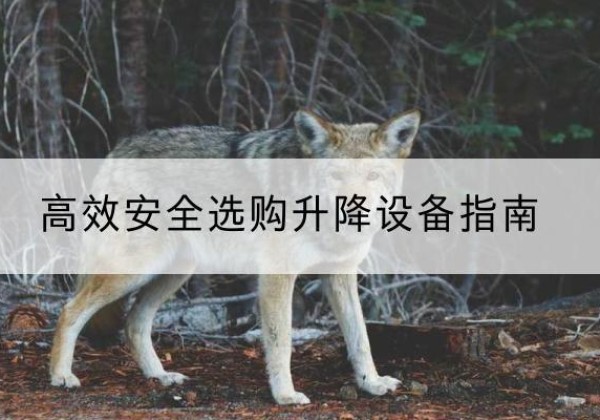 乌审旗升降货梯厂家推荐-*安全选购升降设备指南
